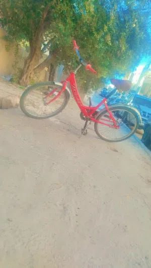 بسكليت بريك اجر نمرة 24 مش ناقصه اشي سريع