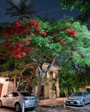 1111 m2 1 Bedroom Townhouse for Rent in Tripoli Al Entisar District