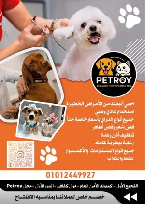 ‏خدمات العناية بالحيوانات‏4
