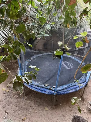 نطاطية Trampoline