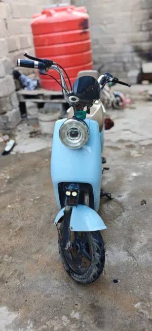 منتظر البصراوي 