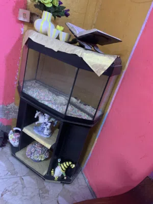 حوض اسماك للبيع