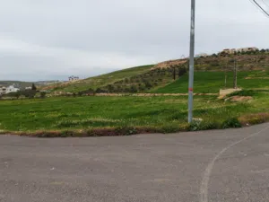 Residential Land for Sale in Amman Shafa Badran