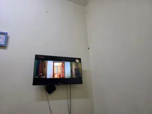 Hamilton tv
