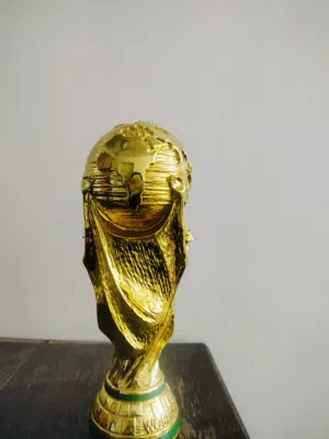 كأس العالم جديد مع الكرتونة