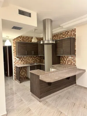 مطبخ راكب جديد ما استخدم خشب نضيف