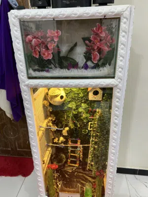 قفص مال طيور