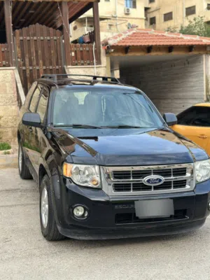 Used Ford Escape in Amman