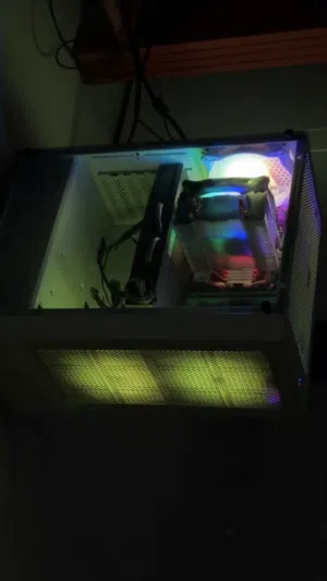 قيمنق بيسي