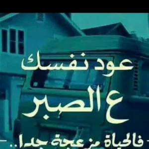 علي 