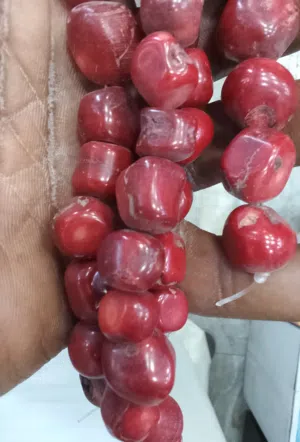 للبيع خواتم وحجر طبيعي