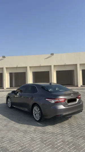 تويوتا كامري 2019 xle
