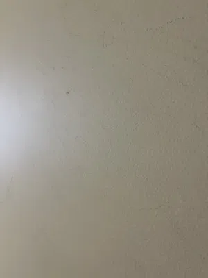 100 m2 2 Bedrooms Apartments for Rent in Abu Dhabi Baniyas