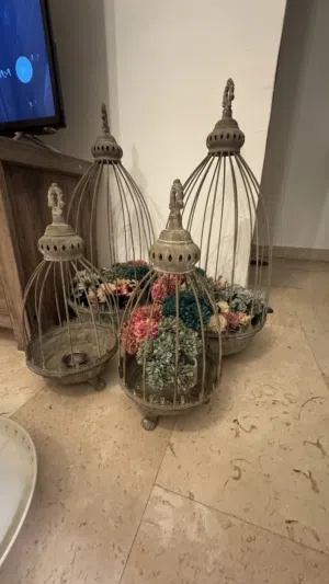 مجموعه اكسسوارات