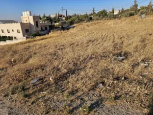 Residential Land for Sale in Zarqa Um Rummanah