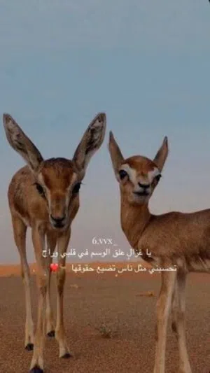 ريان 
