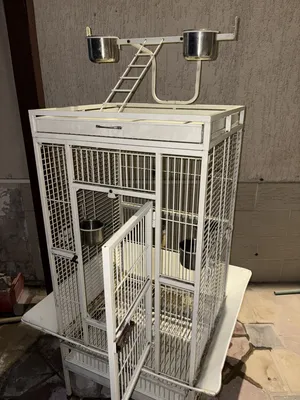 Accessories . Birds & Poultry0