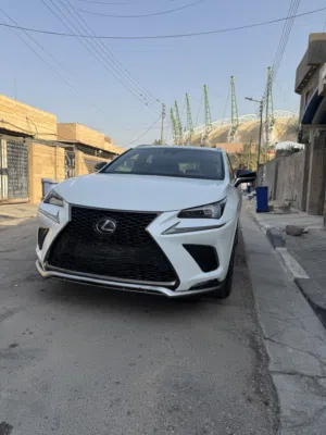Used Lexus NX in Basra