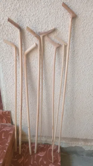 عصية عتم الجبل