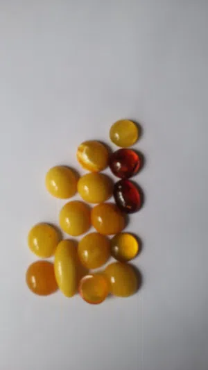 احجار كهرب نادره متحجرات عمرها حوالي 150 مليون سنه