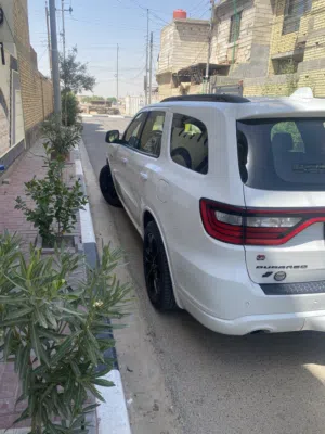 دوج دورنكو 2020