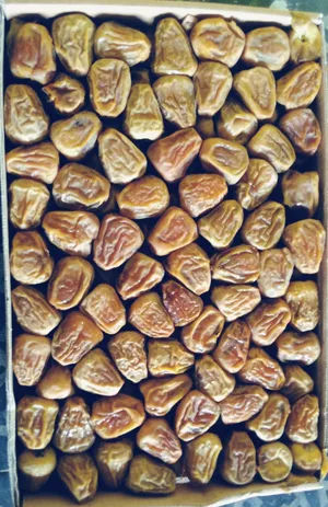 Dates2