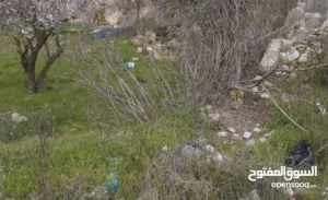 Residential Land for Sale in Hebron Eaqabat Tafuh