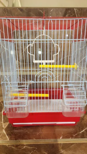 قفص طيور للبيع