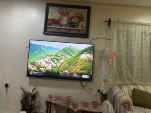 Samsung Smart 65 inch TV