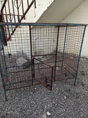 قفص للبيع بأقل قيمه ينفع لجميع الطيور