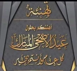 مطلوب بكب اقساط بدون دفعه اولى