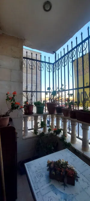 شـقــه مــميـــزه لـلـبــيـــع في منطقه البيادر حي السهل مقابل مدرسة أم حبيبه  الثـــانــويــــه