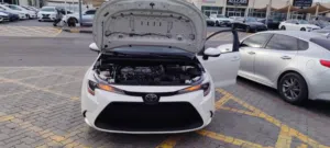 2020 Corolla le