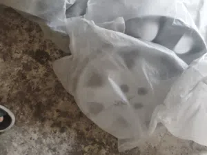 4 زواج جدد مال نيسان صني