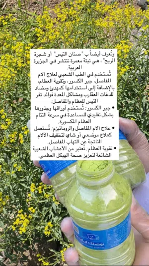 تفر تيس مطحون وجاهز اخضر يوجد بالكيلو او العلبة تواصل وفالك طيب ان شاء الله
