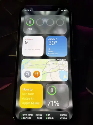 iphone 12 pro 256, 100% clean