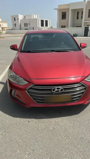 Used Hyundai Elantra in Al Dakhiliya
