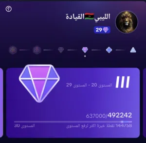 حساب دعم لفل 29