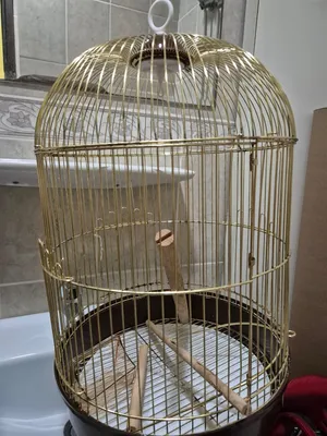 Accessories . Birds & Poultry2