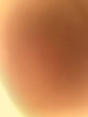 Furnished . Monthly4