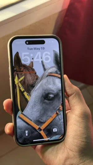 Apple iPhone 15 128 GB in Al Dakhiliya