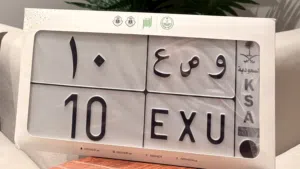 لوحة مميزة رقم 10