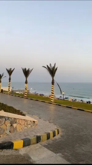 قطعة أرض على البحر مباشرة مواصفات ربي ايبارك وأرض ملك وخارج الغابات