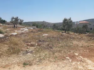 Residential Land for Sale in Jenin Qabatiya