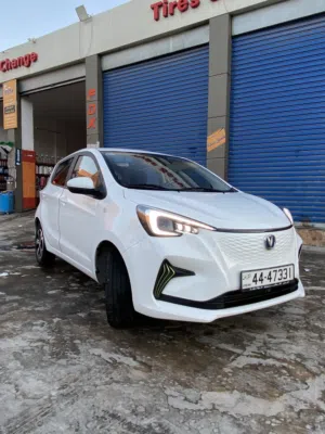 Changan E-star 2022 Full for sale