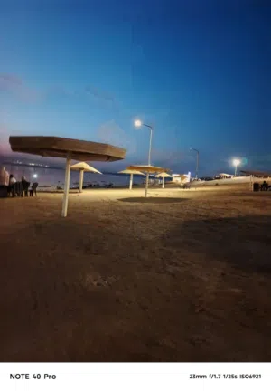 خالد 