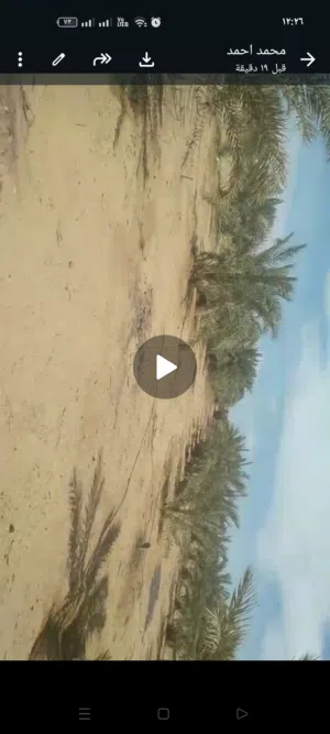Farm Land for Sale in Giza Bahariya Oasis