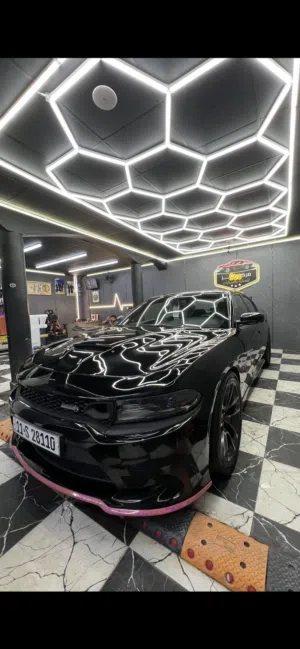 جارجر سكات مديل 22