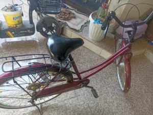 بايسكل ياباني