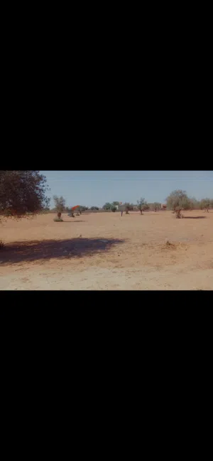 اراضي للبيع